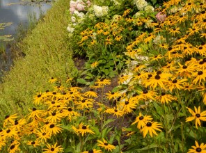 ABpark Beauty of Nature 2025