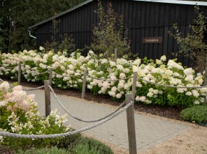 ABpark Beauty of Nature 2025