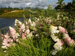 ABpark Beauty of Nature 2025