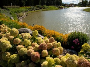 ABpark Beauty of Nature 2025