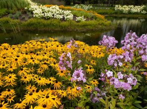 ABpark Beauty of Nature 2025