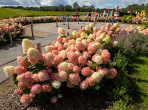 ABpark Beauty of Nature 2025