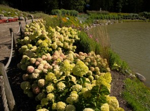 ABpark Beauty of Nature 2025