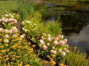 ABpark Beauty of Nature 2025