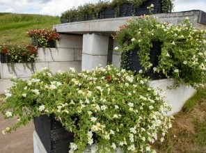 ABpark Beauty of Nature 2025