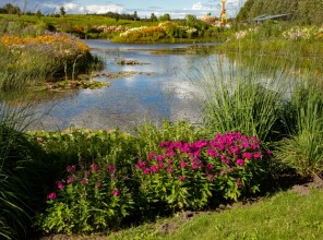 ABpark Beauty of Nature 2025