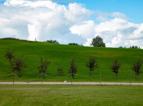 ABpark Beauty of Nature 2025