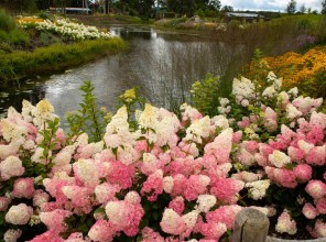 ABpark Beauty of Nature 2025