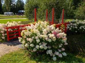 ABpark Beauty of Nature 2025