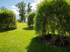 ABpark Beauty of Nature 2025