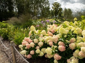 ABpark Beauty of Nature 2025