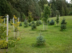 ABpark Dabas skaistums 2025