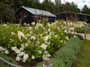 ABpark Dabas skaistums 2025