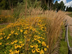 ABpark Dabas skaistums 2025