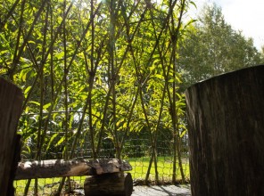 ABpark Dabas skaistums 2025