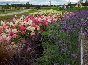 ABpark Dabas skaistums 2025