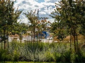 ABpark Dabas skaistums 2025