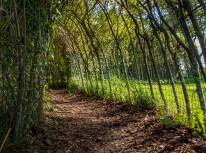 ABpark Dabas skaistums 2025