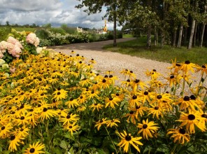 ABpark Dabas skaistums 2025