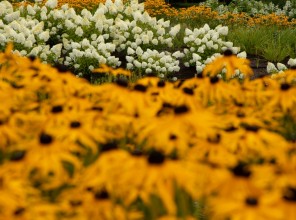 ABpark Dabas skaistums 2025