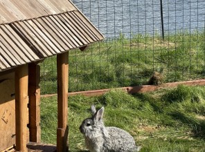 ABpark Superīgākā Vasaras diena 17.08.25