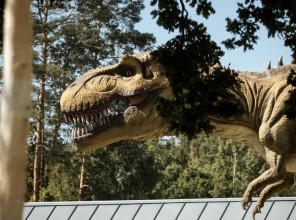 ABpark&#039;s The Most Amazing Summer Day 17.08.25