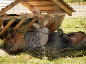 ABpark&#039;s The Most Amazing Summer Day 17.08.25