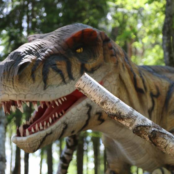 Dinosaur trail atrakcija