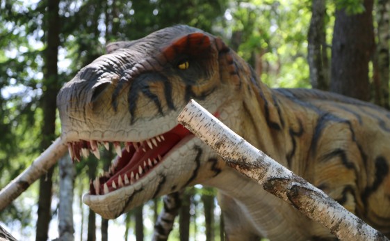 Dinosaur trail