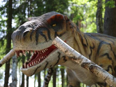 Dinozauru dabas takas atrakcija