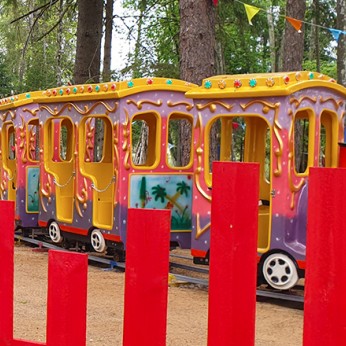 Forest train