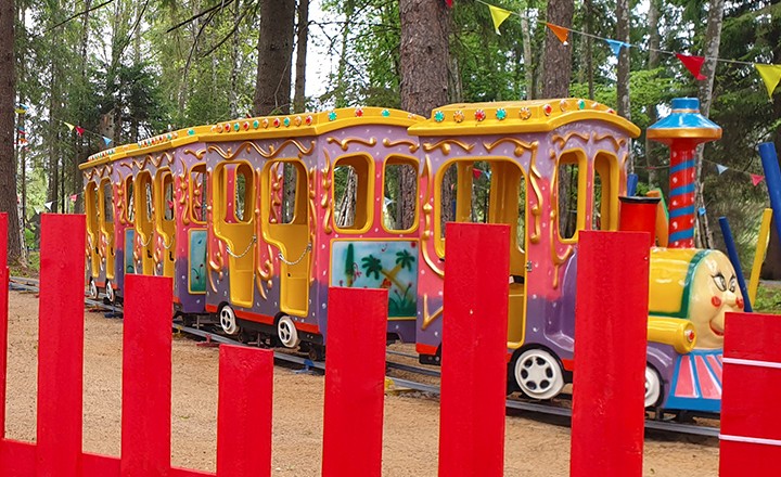 Forest train
