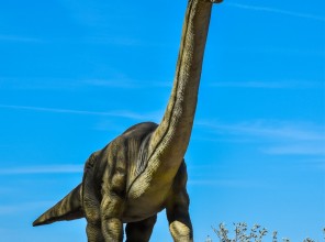 Izklaides parks &quot;Avārijas Brigāde&quot;