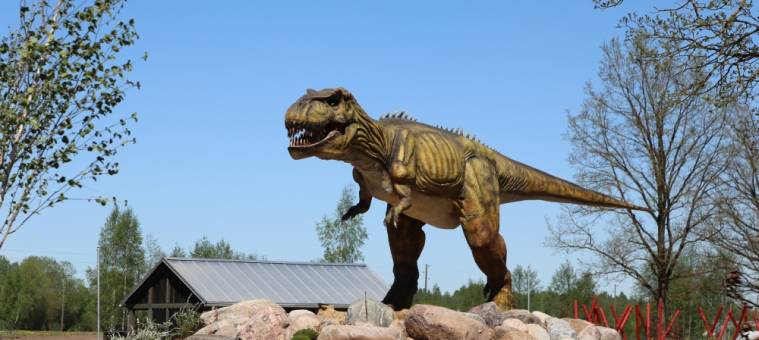 ABpark See all attractions