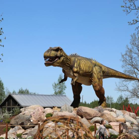 ABpark See all attractions