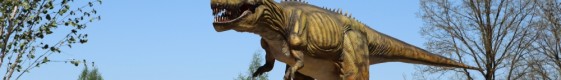 See all attractions