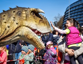RIMI bērnu diena 2017