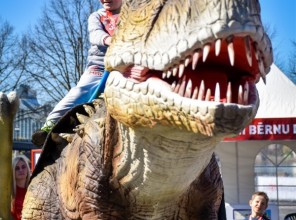 RIMI bērnu diena 2017