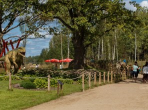 ABpark летние развлечения