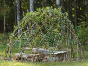 ABpark summer atrractions