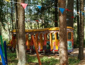 ABpark summer atrractions