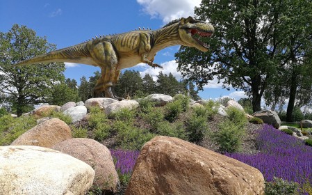 Jaunākais no ABpark! Jautājumi un atbildes.